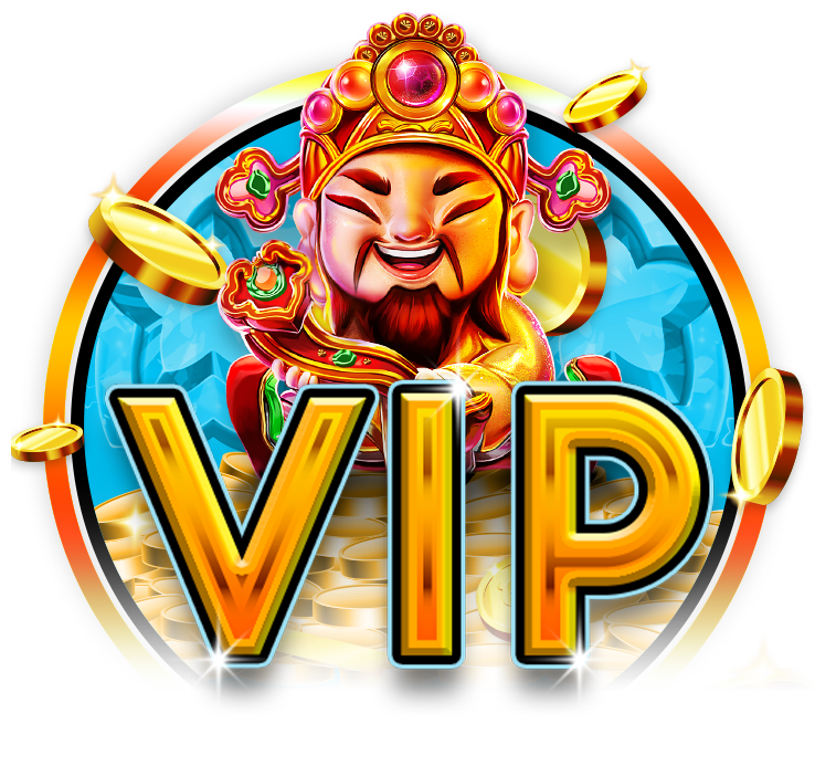 vip program